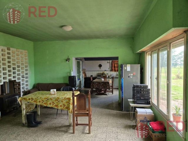 place photo 45