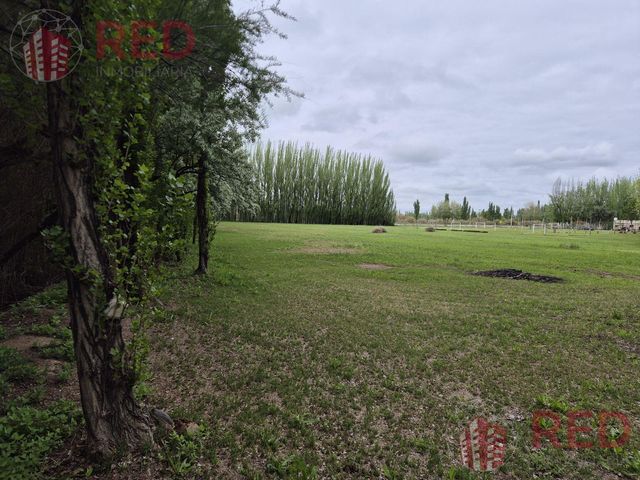 place photo 57