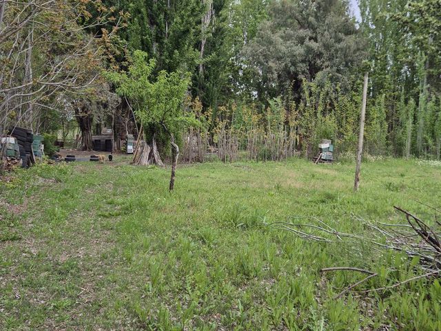 place photo 38