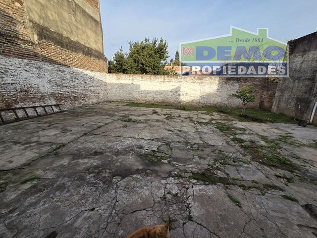 place photo 8