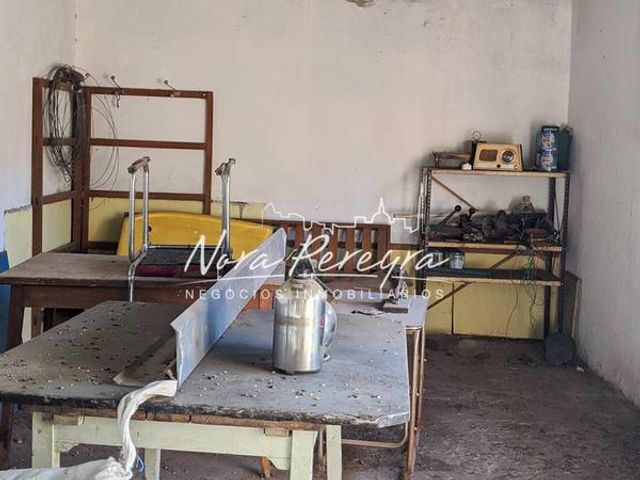 place photo 16