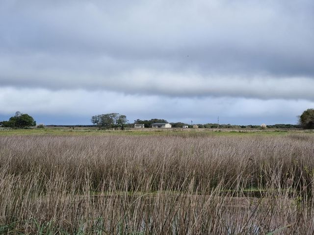 place photo 49