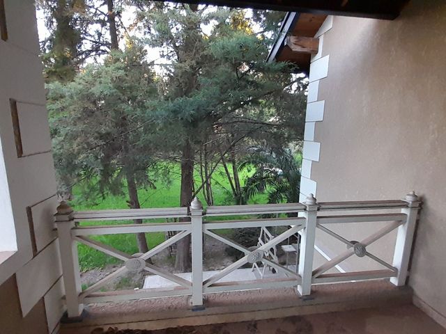 place photo 53