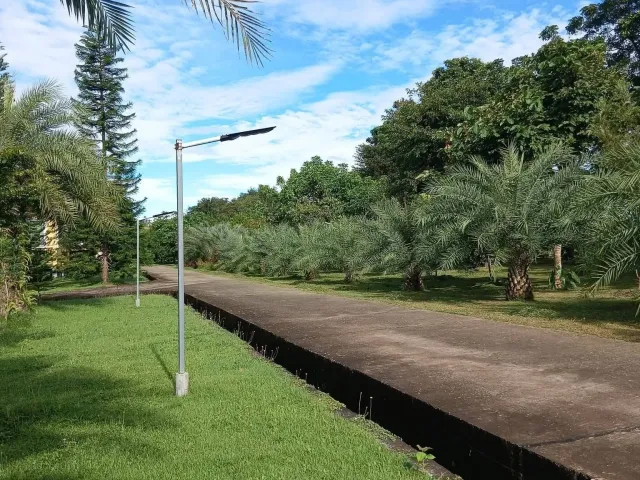 place photo 18