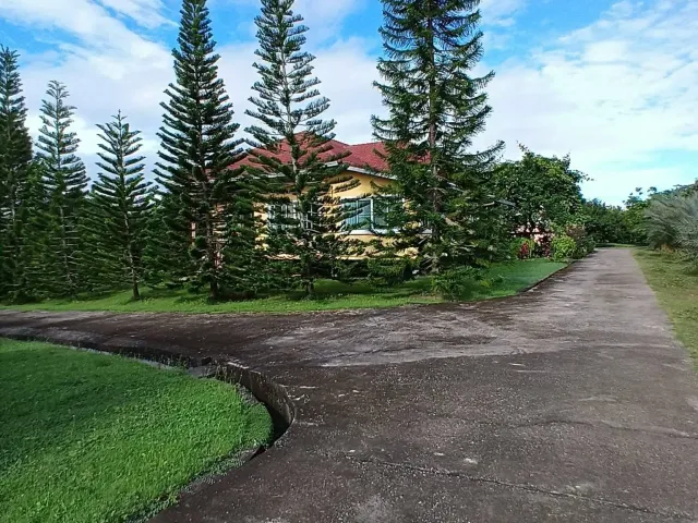 place photo 22