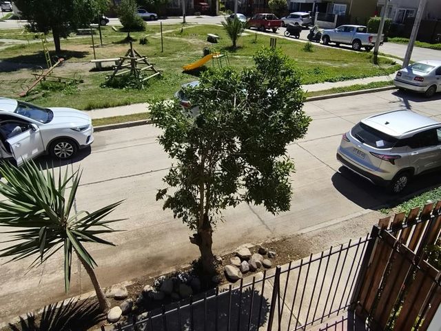 place photo 14