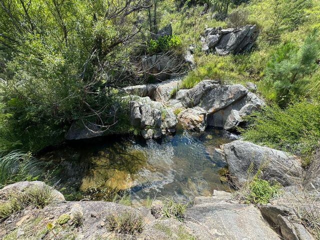 place photo 43
