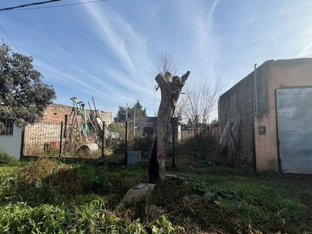 place photo 9