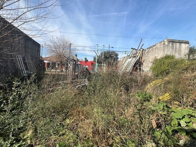 place photo 19