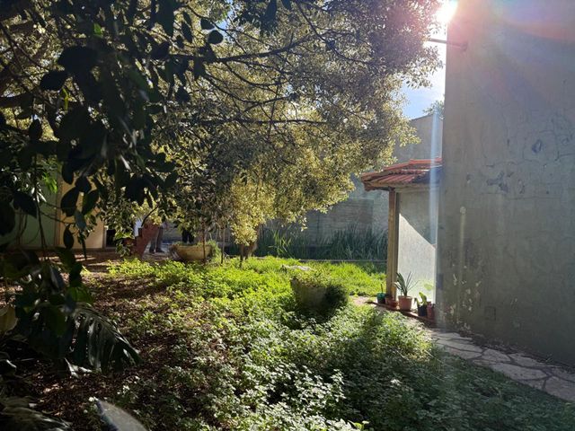 place photo 41