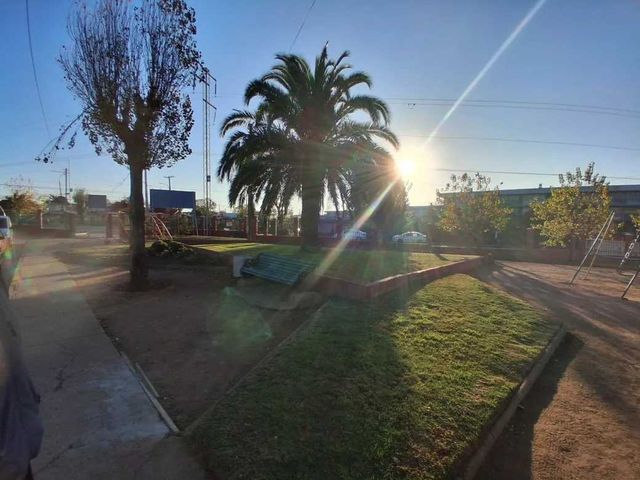 place photo 20