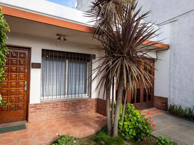 place photo 44
