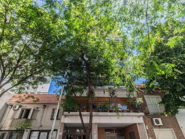 place photo 37