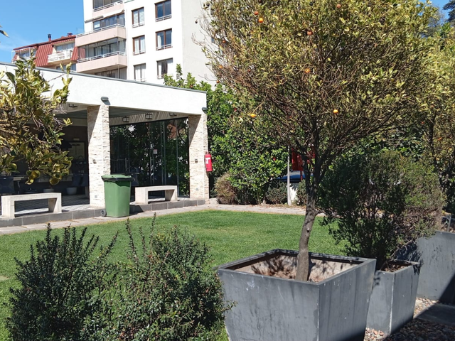 place photo 18