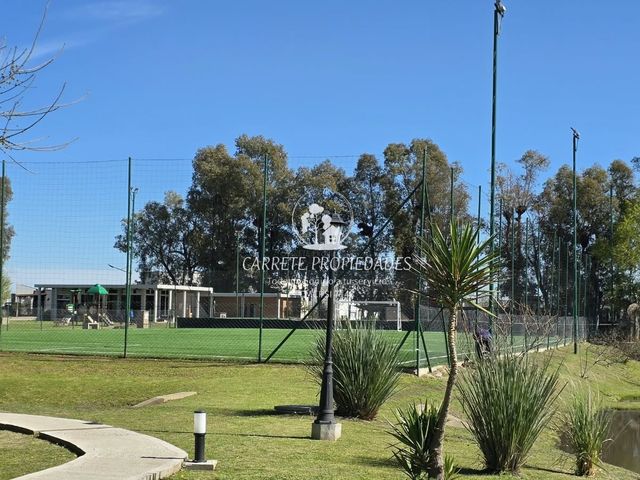 place photo 31