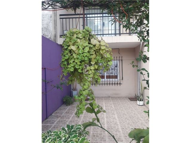 place photo 38