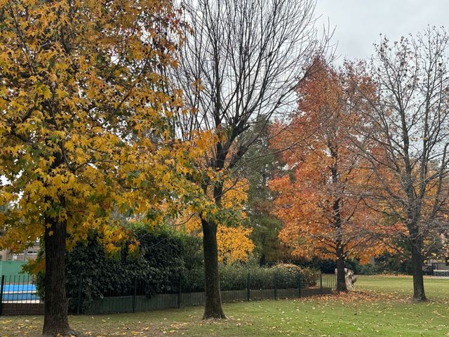 place photo 39