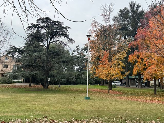 place photo 38