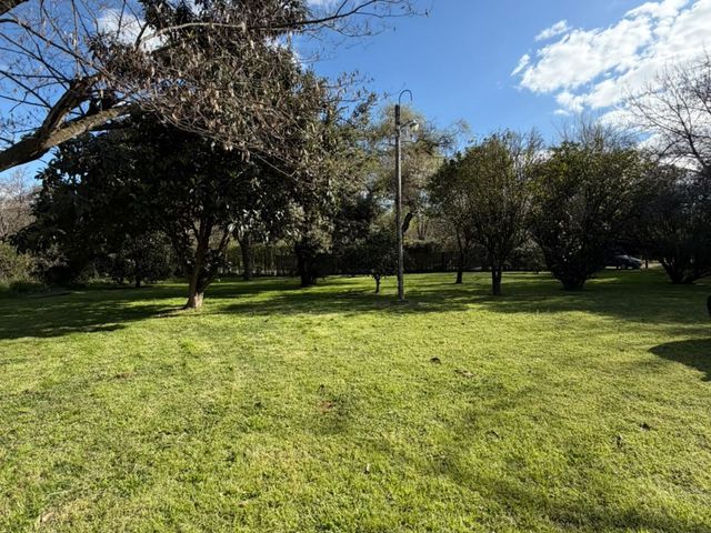 place photo 19
