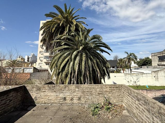 place photo 40