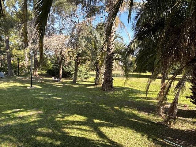 place photo 40