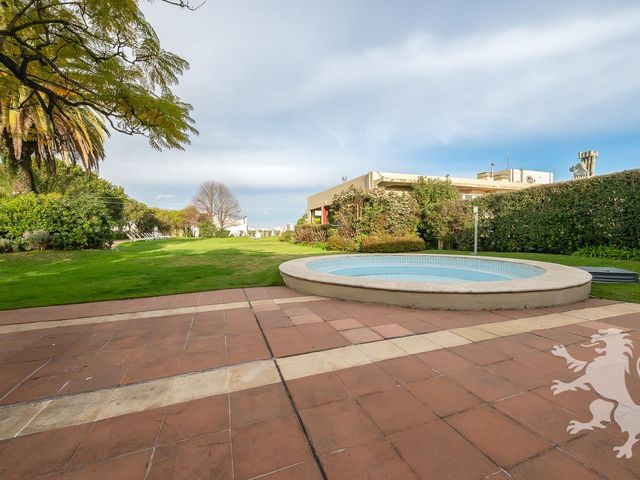 place photo 31