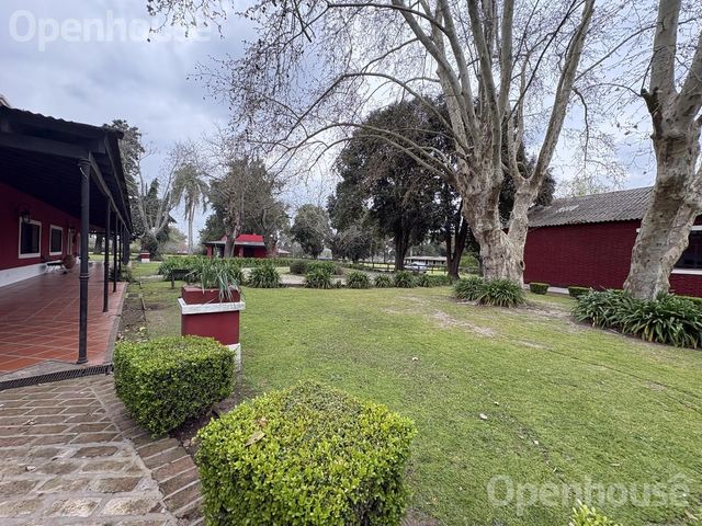 place photo 38