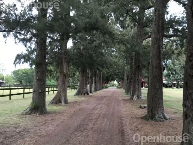 place photo 33