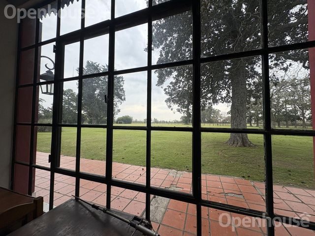 place photo 42