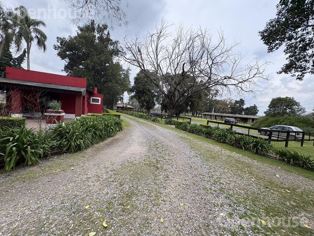 place photo 36