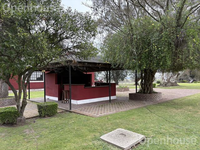 place photo 40