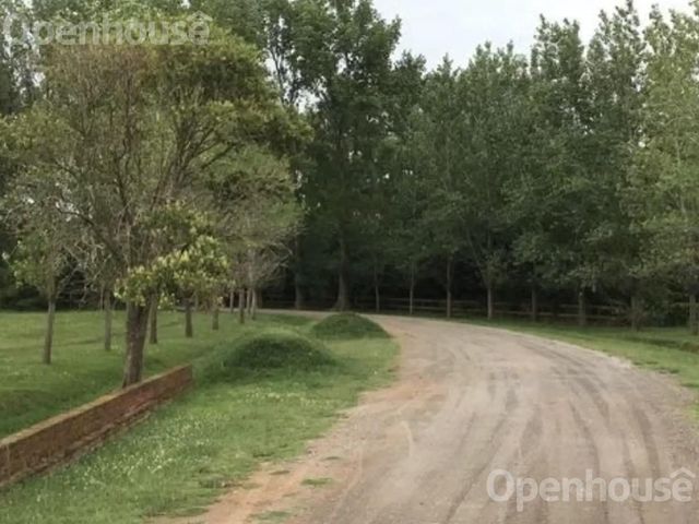 place photo 25