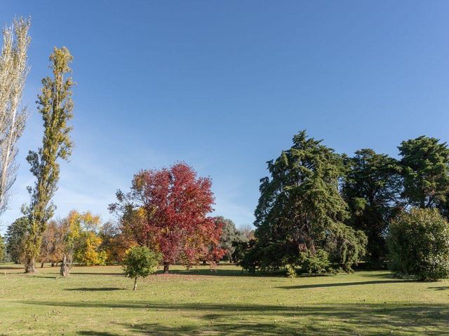 place photo 40