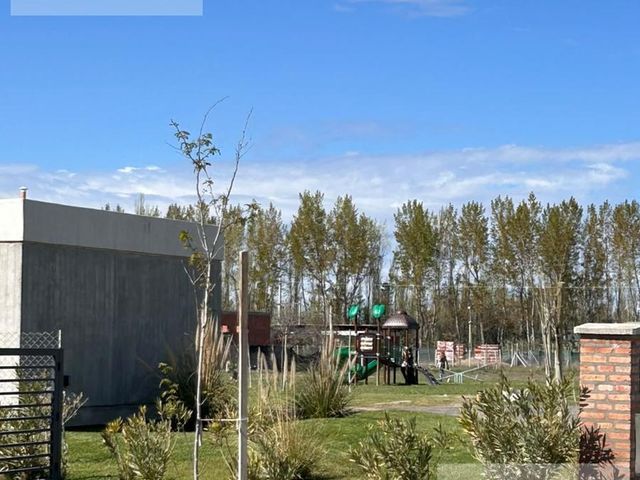 place photo 58