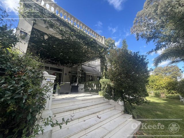 place photo 47