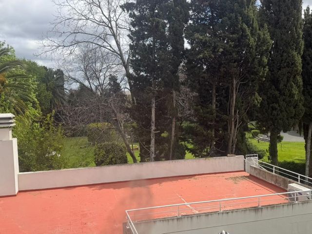 place photo 60