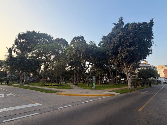 place photo 31