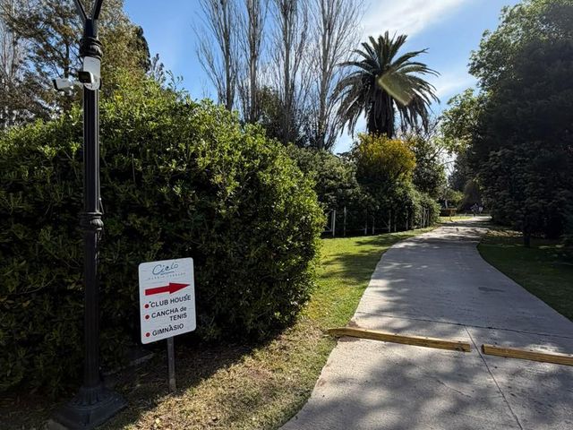 place photo 37