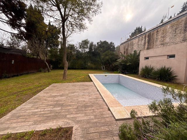 place photo 46