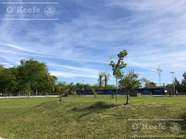 place photo 35