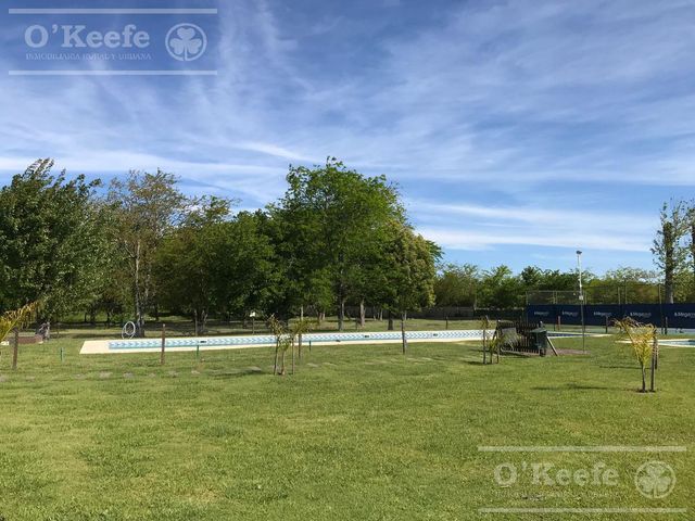 place photo 37