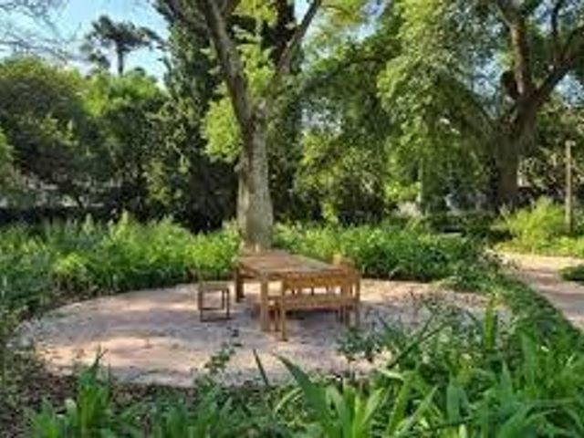 place photo 34
