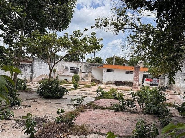 place photo 6