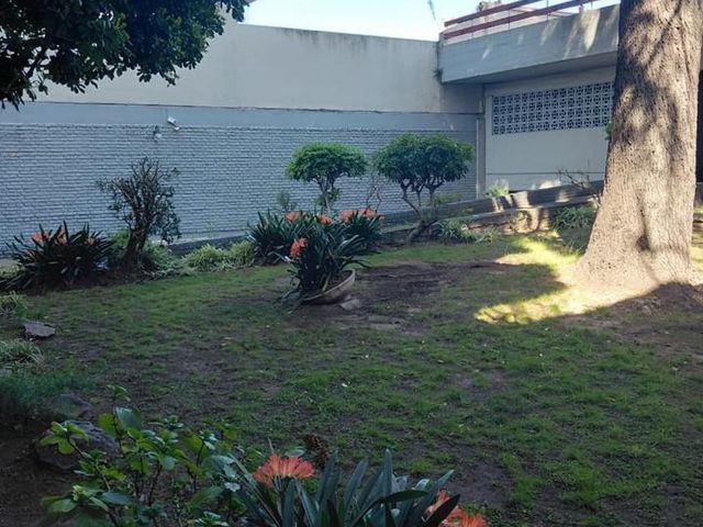 place photo 37