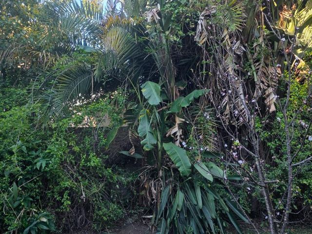 place photo 62