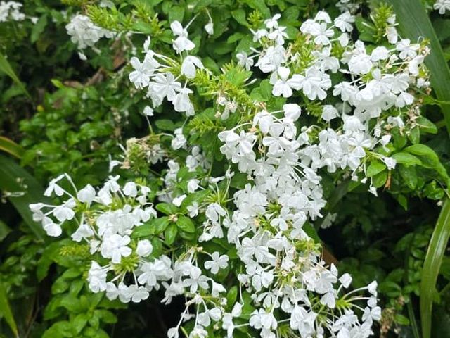 place photo 58