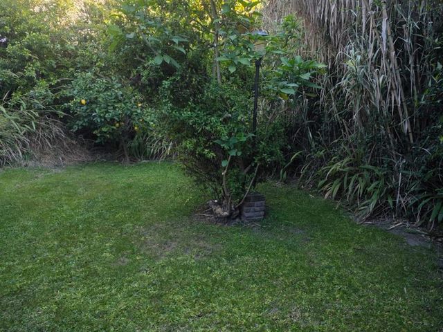 place photo 59