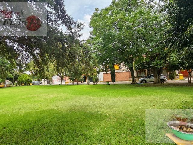 place photo 68