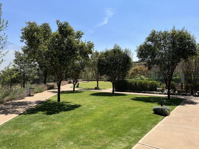 place photo 35
