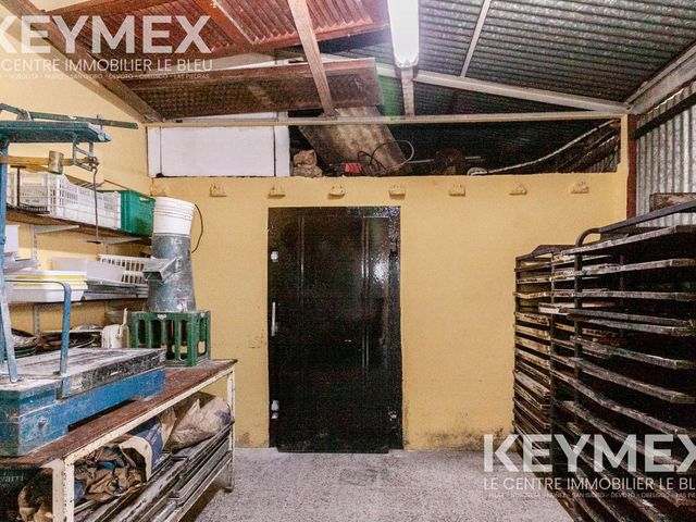 place photo 45